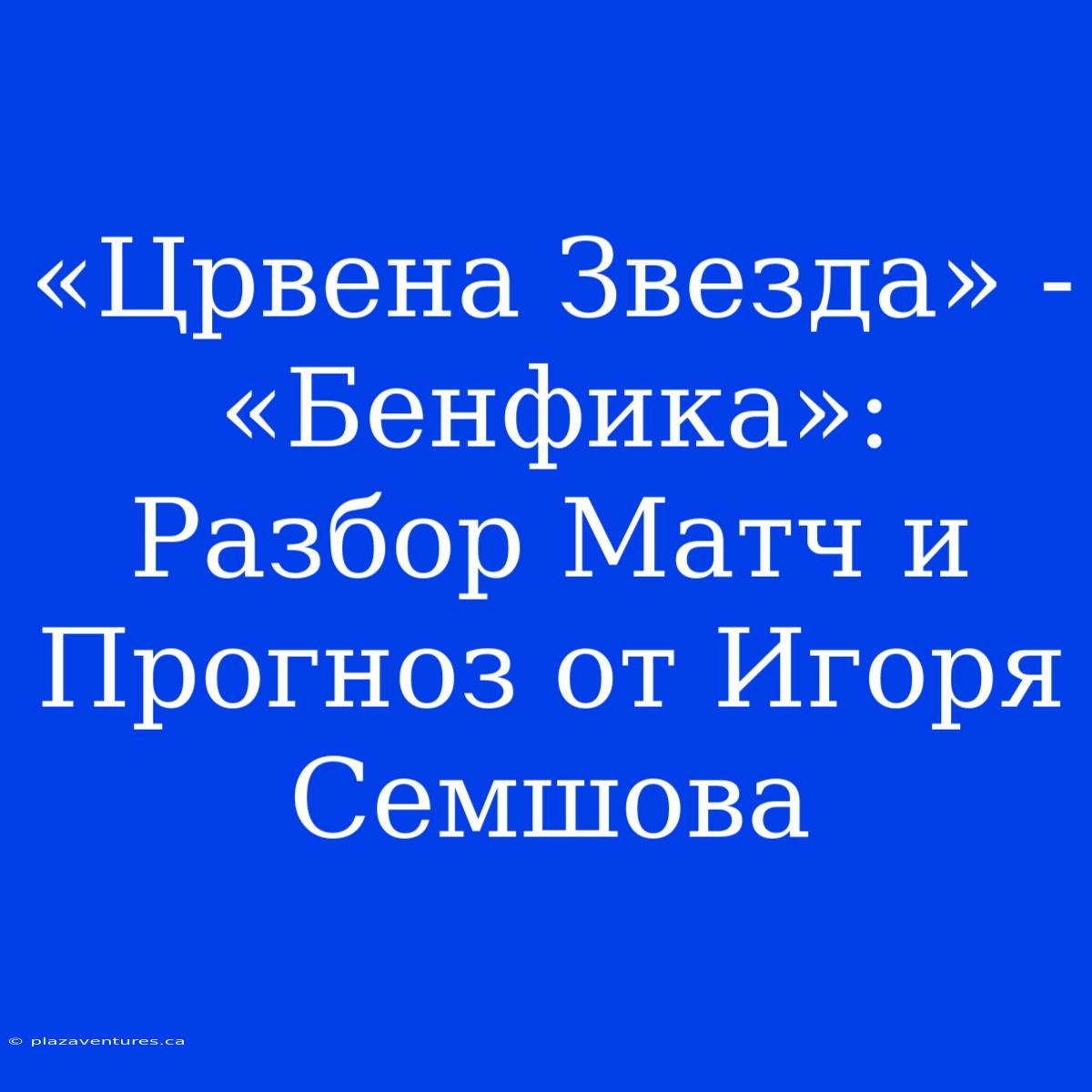 «Црвена Звезда» - «Бенфика»: Разбор Матч И Прогноз От Игоря Семшова