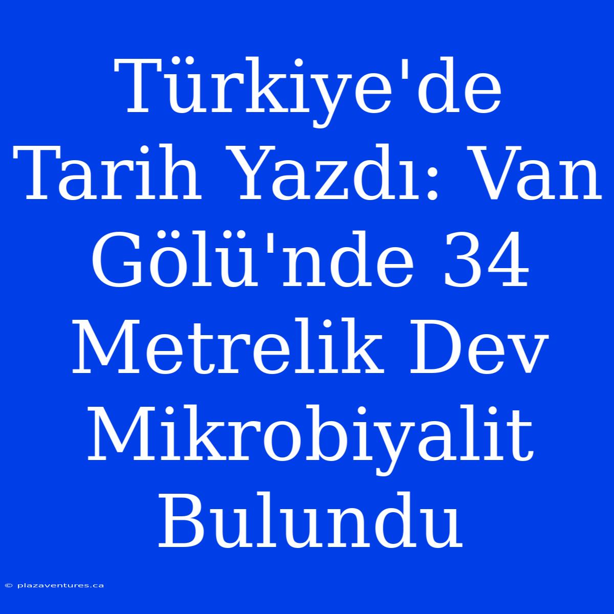 Türkiye'de Tarih Yazdı: Van Gölü'nde 34 Metrelik Dev Mikrobiyalit Bulundu