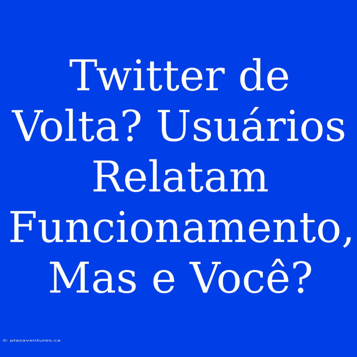 Twitter De Volta? Usuários Relatam Funcionamento, Mas E Você?