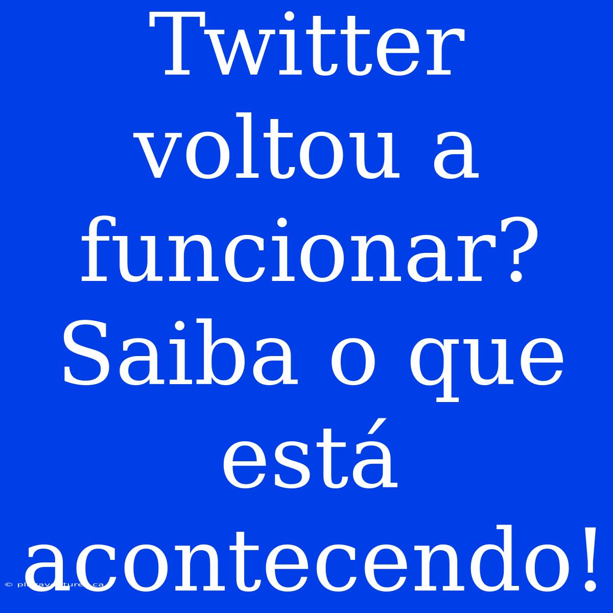 Twitter Voltou A Funcionar? Saiba O Que Está Acontecendo!