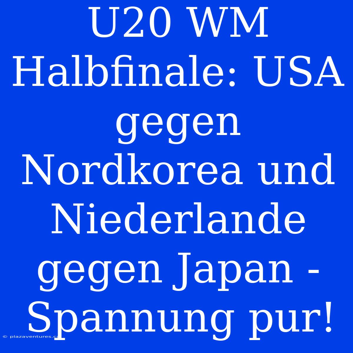 U20 WM Halbfinale: USA Gegen Nordkorea Und Niederlande Gegen Japan - Spannung Pur!