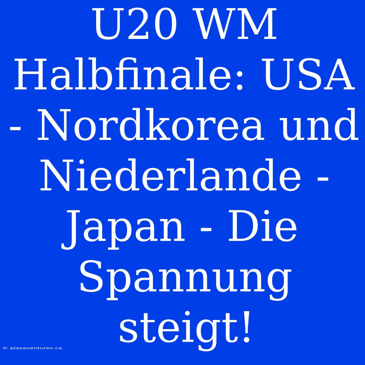 U20 WM Halbfinale: USA - Nordkorea Und Niederlande - Japan - Die Spannung Steigt!