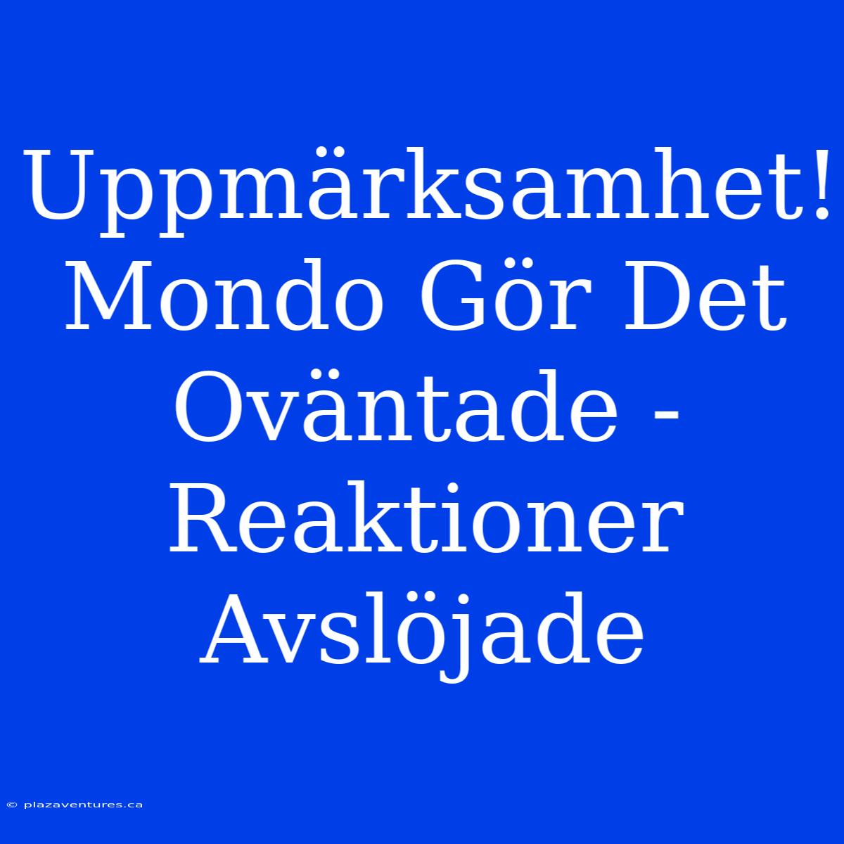 Uppmärksamhet! Mondo Gör Det Oväntade - Reaktioner Avslöjade