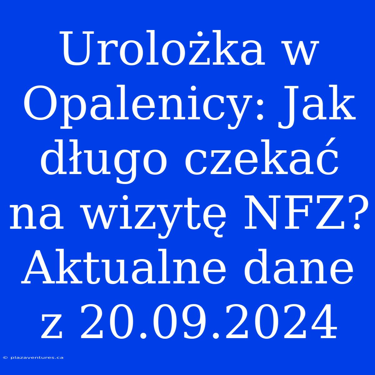 Urolożka W Opalenicy: Jak Długo Czekać Na Wizytę NFZ? Aktualne Dane Z 20.09.2024