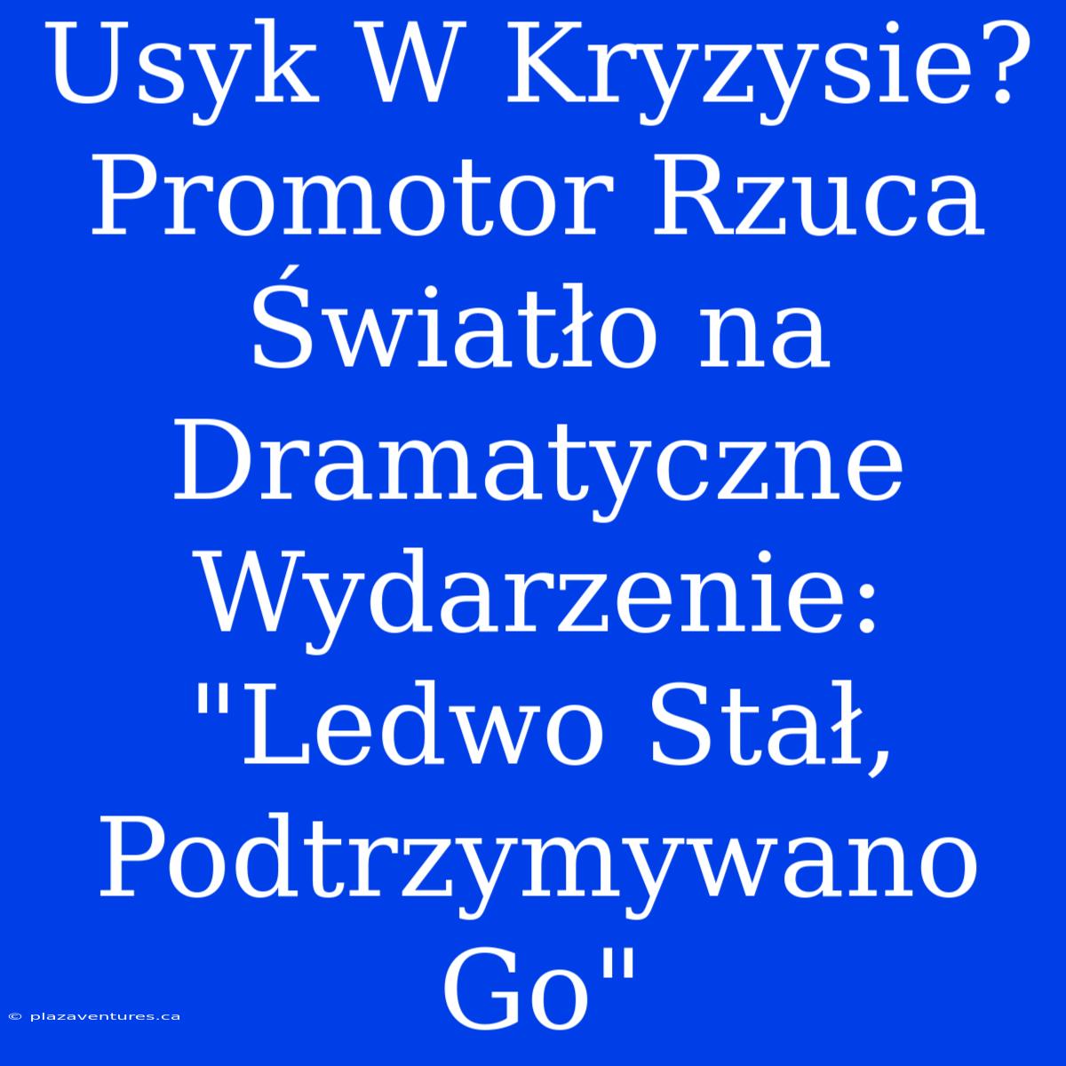 Usyk W Kryzysie? Promotor Rzuca Światło Na Dramatyczne Wydarzenie: 