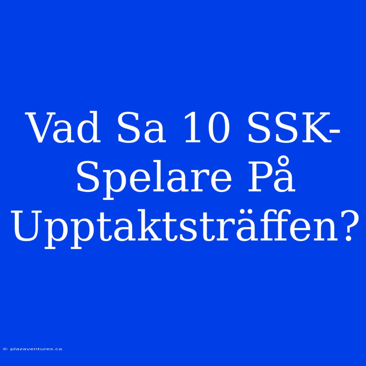 Vad Sa 10 SSK-Spelare På Upptaktsträffen?