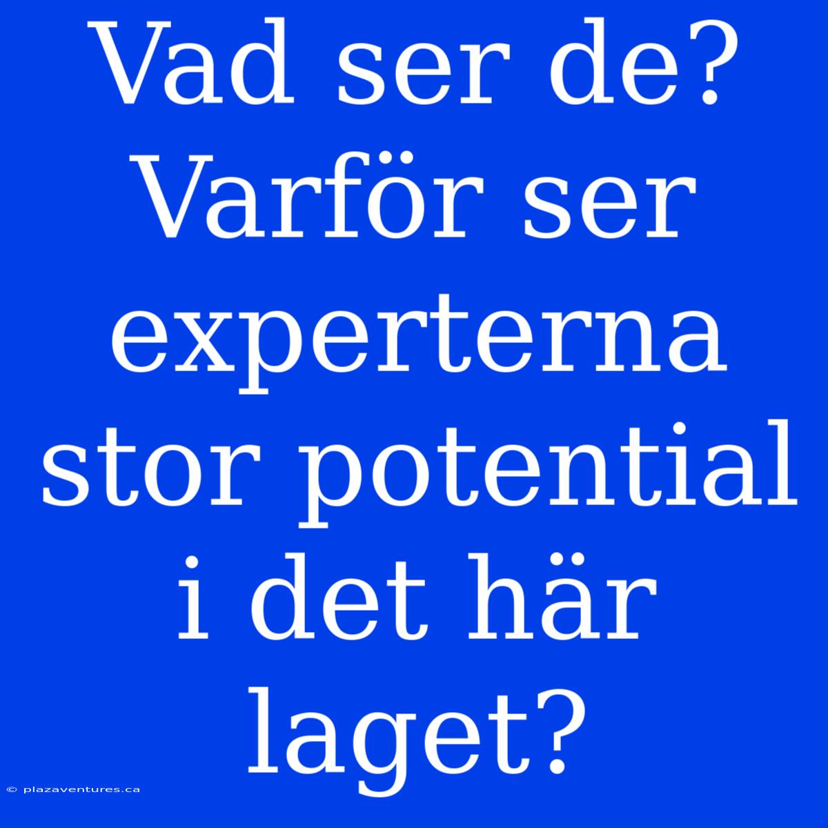 Vad Ser De? Varför Ser Experterna Stor Potential I Det Här Laget?