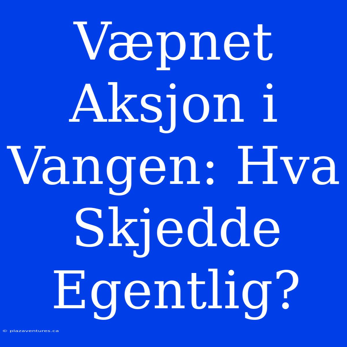 Væpnet Aksjon I Vangen: Hva Skjedde Egentlig?