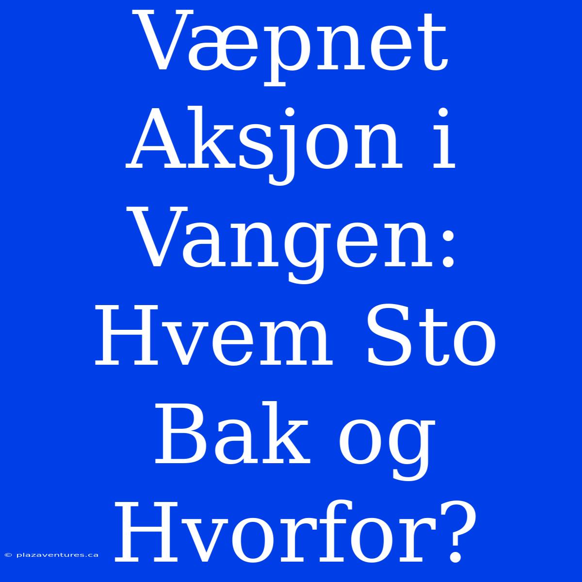 Væpnet Aksjon I Vangen: Hvem Sto Bak Og Hvorfor?