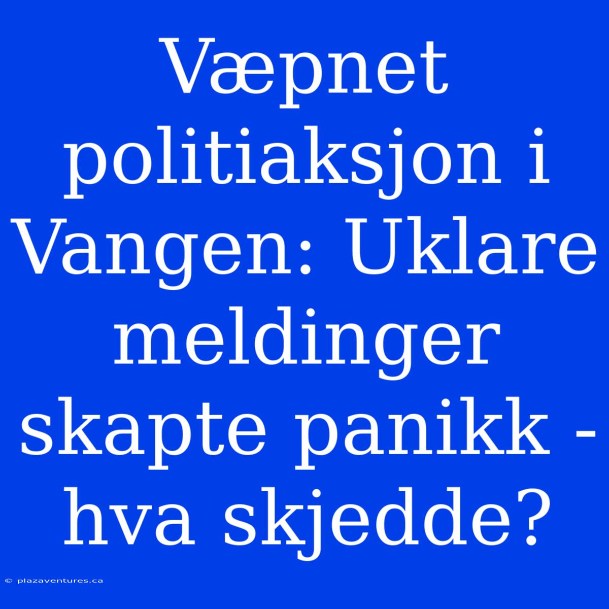 Væpnet Politiaksjon I Vangen: Uklare Meldinger Skapte Panikk - Hva Skjedde?