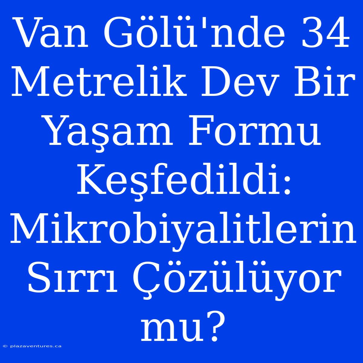 Van Gölü'nde 34 Metrelik Dev Bir Yaşam Formu Keşfedildi: Mikrobiyalitlerin Sırrı Çözülüyor Mu?