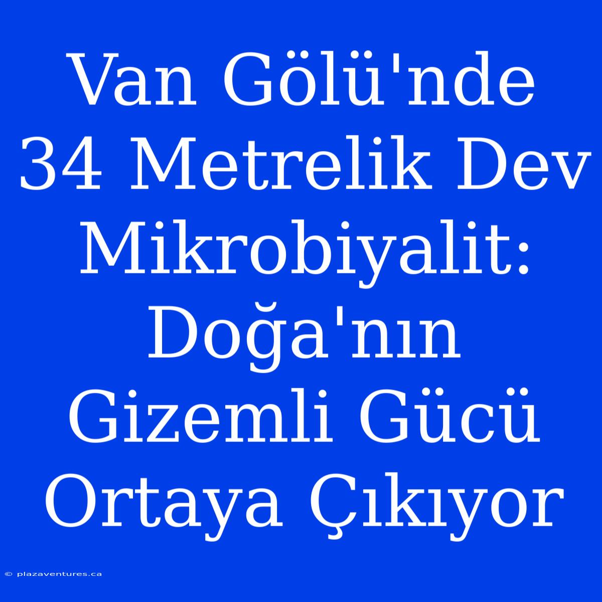 Van Gölü'nde 34 Metrelik Dev Mikrobiyalit: Doğa'nın Gizemli Gücü Ortaya Çıkıyor