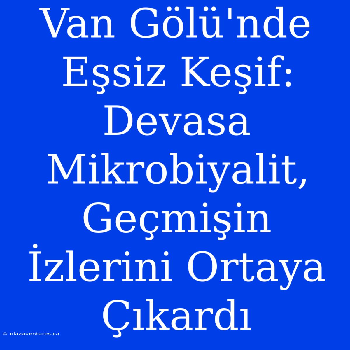 Van Gölü'nde Eşsiz Keşif: Devasa Mikrobiyalit, Geçmişin İzlerini Ortaya Çıkardı