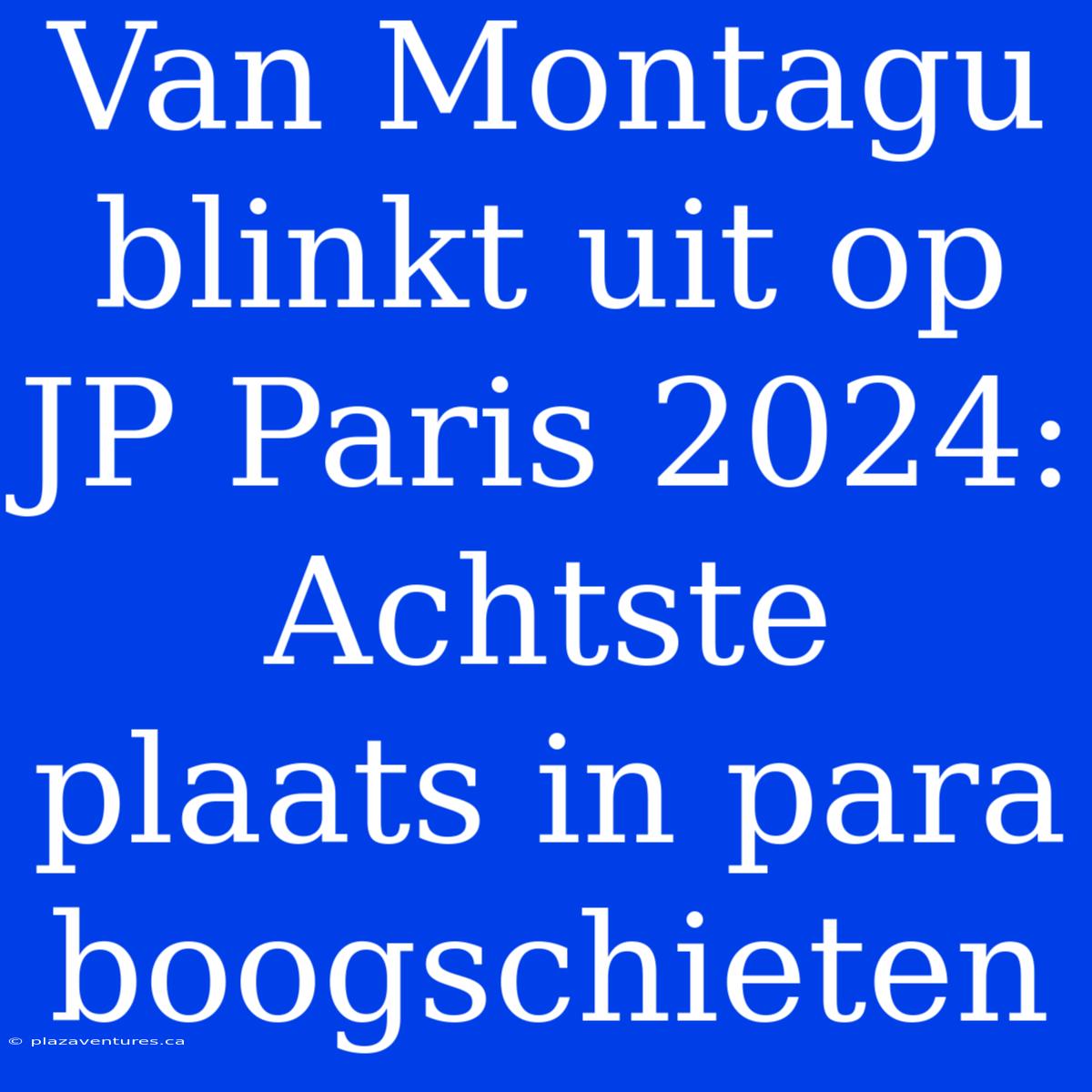 Van Montagu Blinkt Uit Op JP Paris 2024: Achtste Plaats In Para Boogschieten