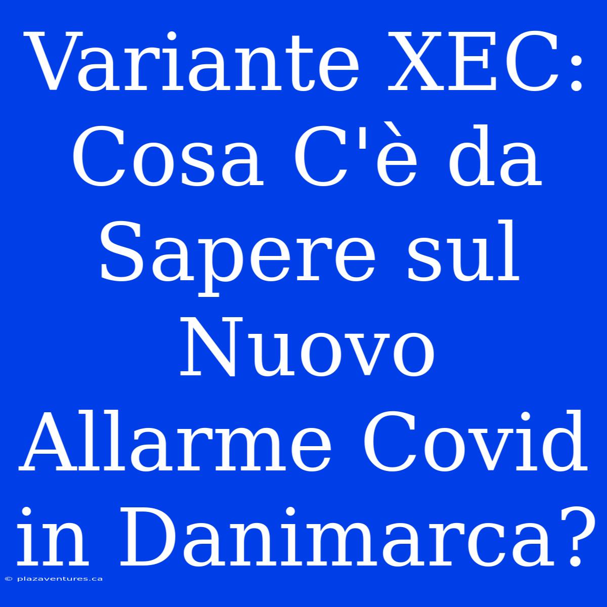 Variante XEC: Cosa C'è Da Sapere Sul Nuovo Allarme Covid In Danimarca?