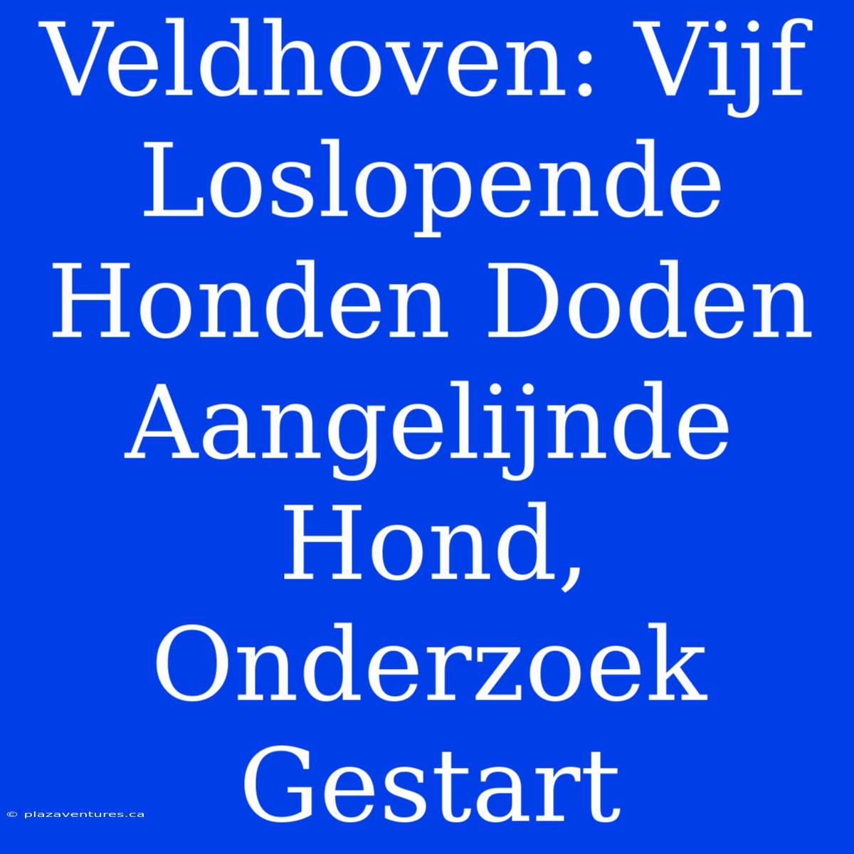 Veldhoven: Vijf Loslopende Honden Doden Aangelijnde Hond, Onderzoek Gestart