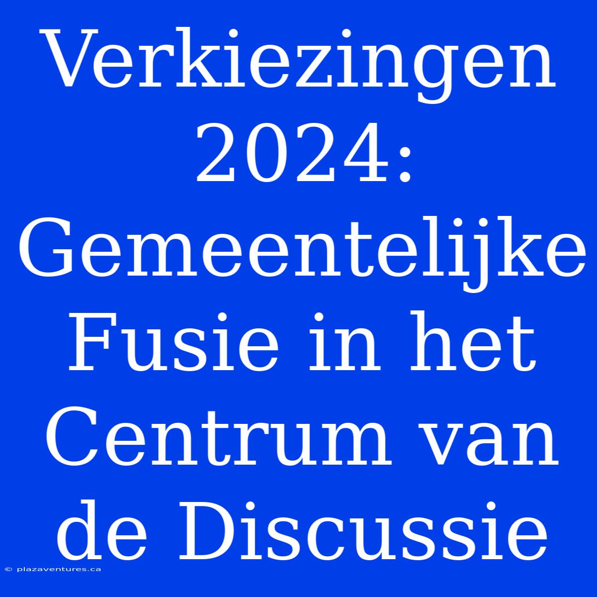 Verkiezingen 2024: Gemeentelijke Fusie In Het Centrum Van De Discussie