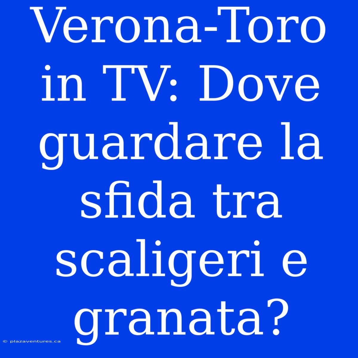 Verona-Toro In TV: Dove Guardare La Sfida Tra Scaligeri E Granata?