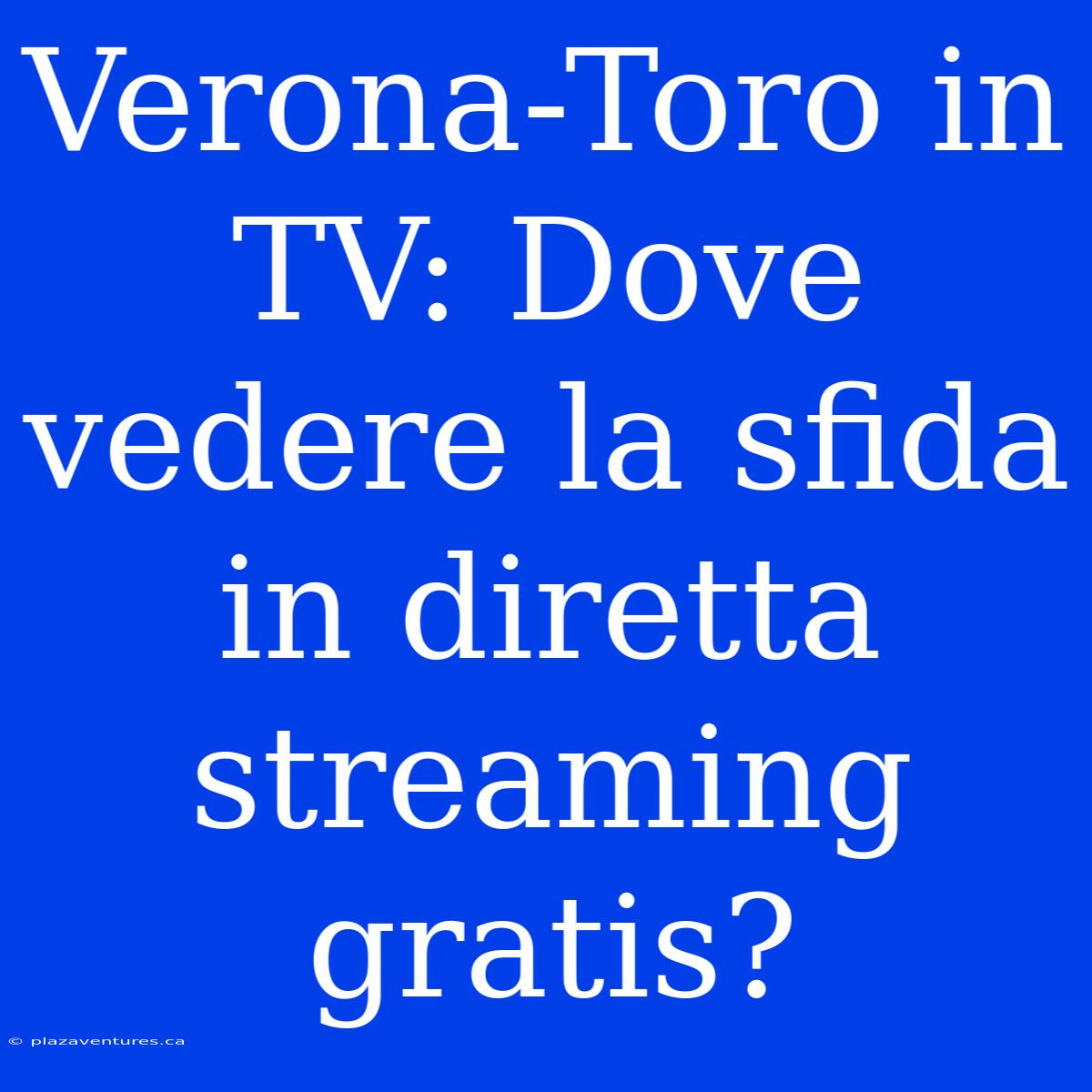 Verona-Toro In TV: Dove Vedere La Sfida In Diretta Streaming Gratis?