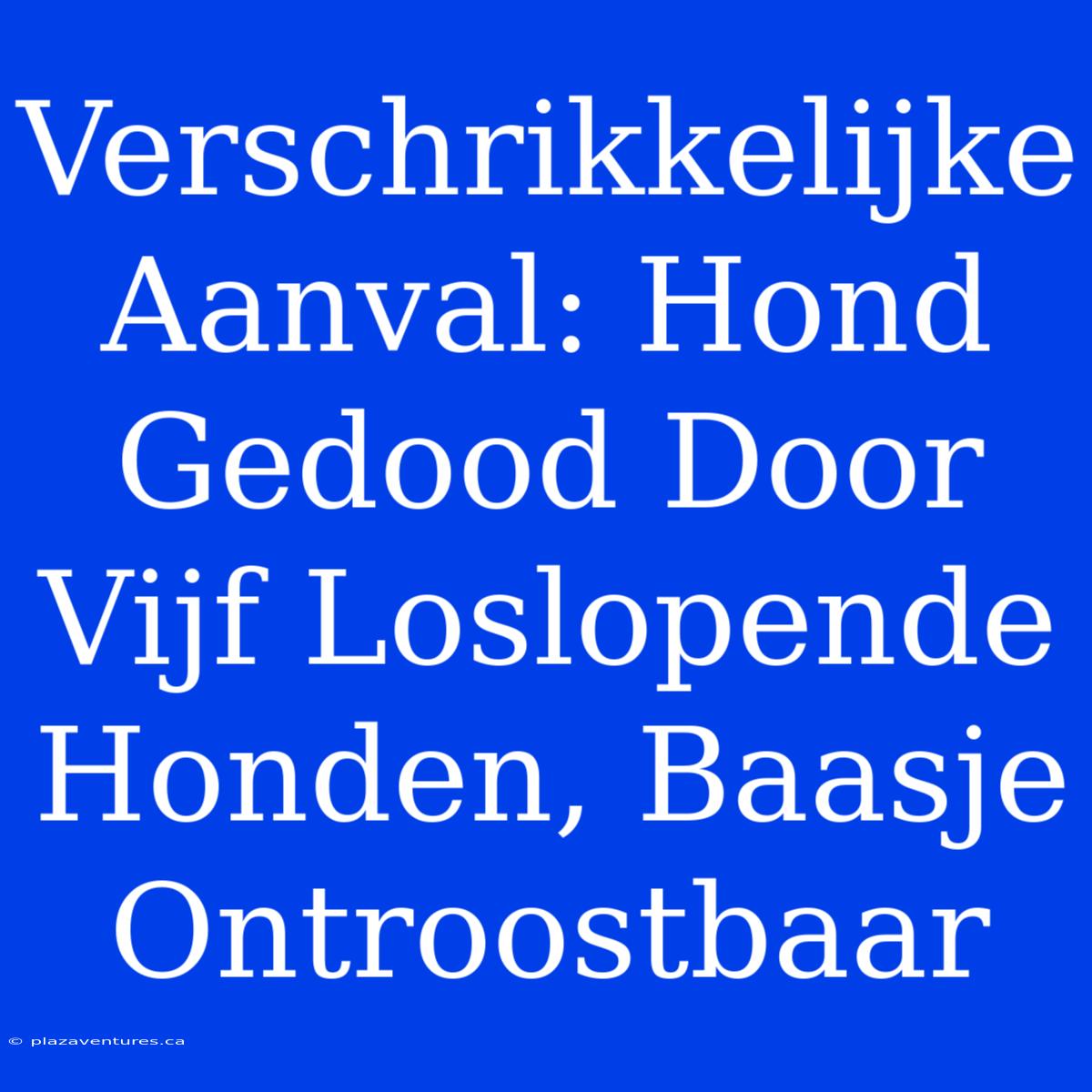 Verschrikkelijke Aanval: Hond Gedood Door Vijf Loslopende Honden, Baasje Ontroostbaar