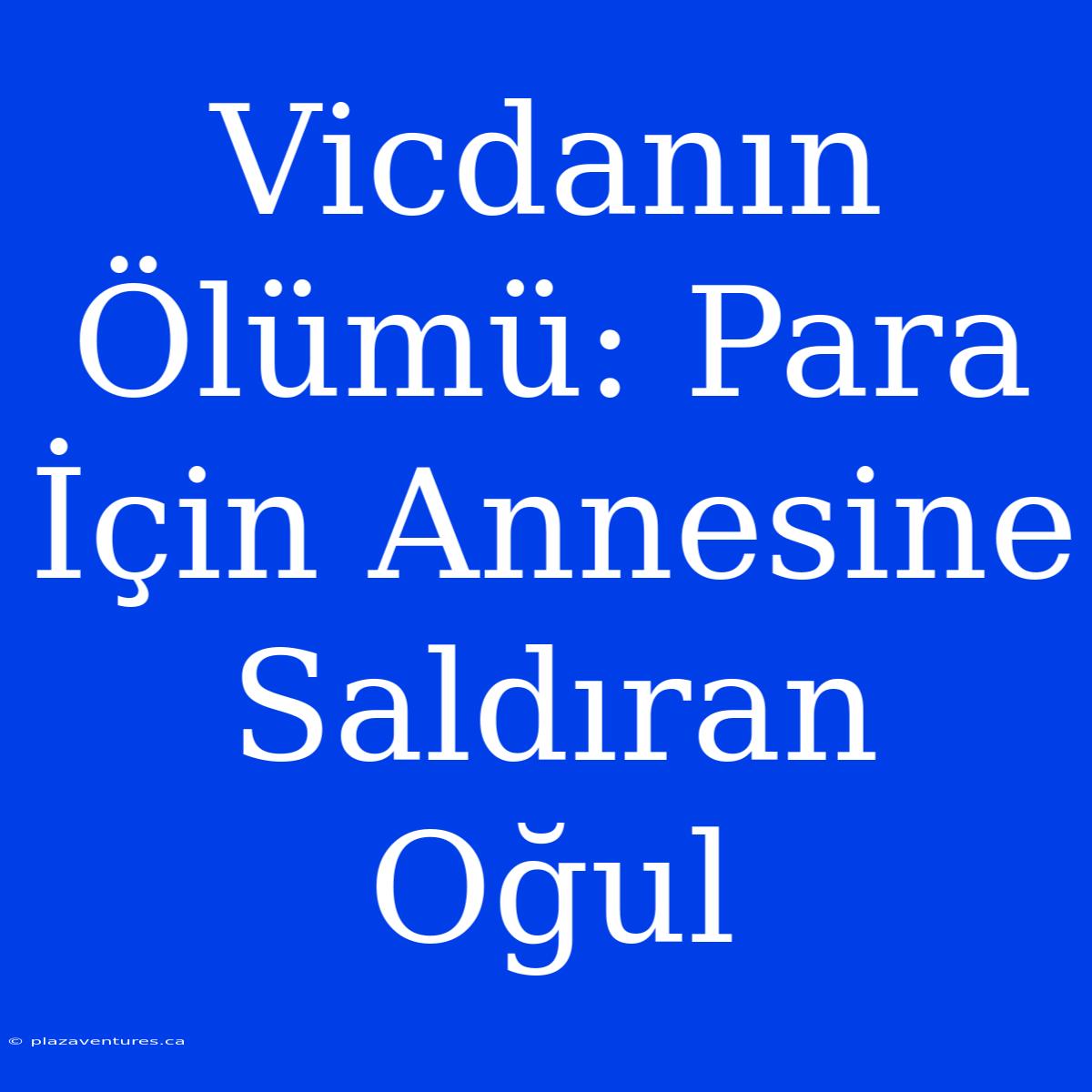 Vicdanın Ölümü: Para İçin Annesine Saldıran Oğul