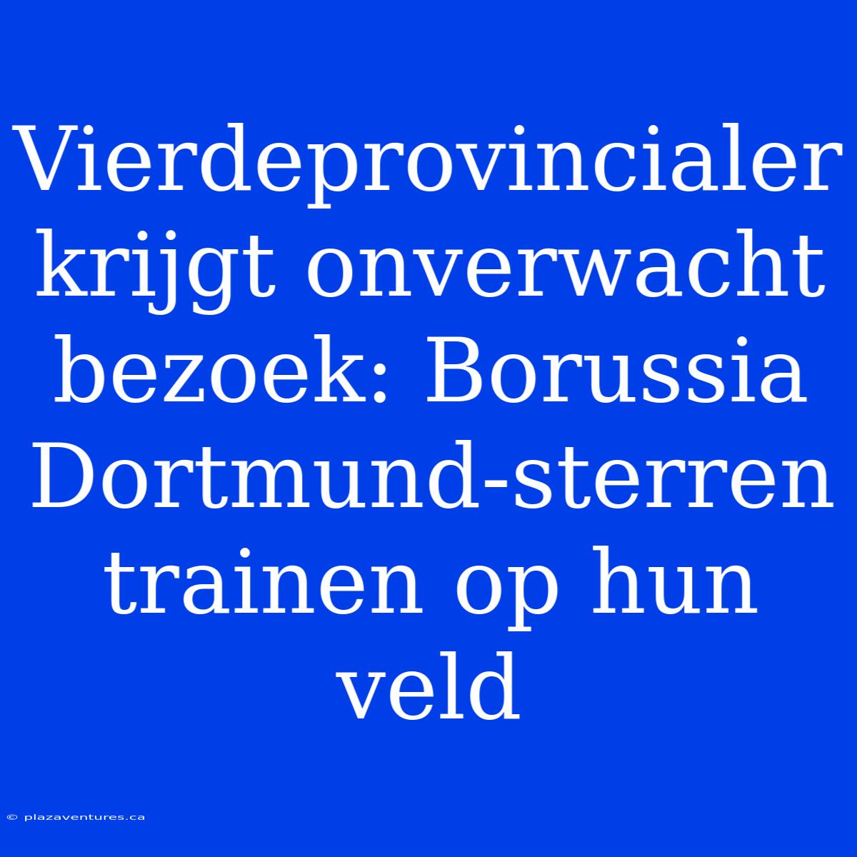 Vierdeprovincialer Krijgt Onverwacht Bezoek: Borussia Dortmund-sterren Trainen Op Hun Veld