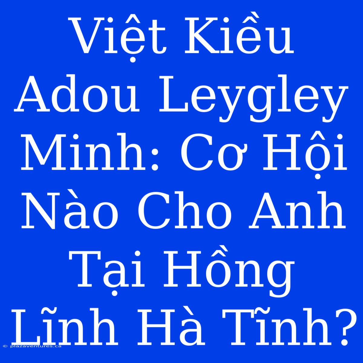 Việt Kiều Adou Leygley Minh: Cơ Hội Nào Cho Anh Tại Hồng Lĩnh Hà Tĩnh?