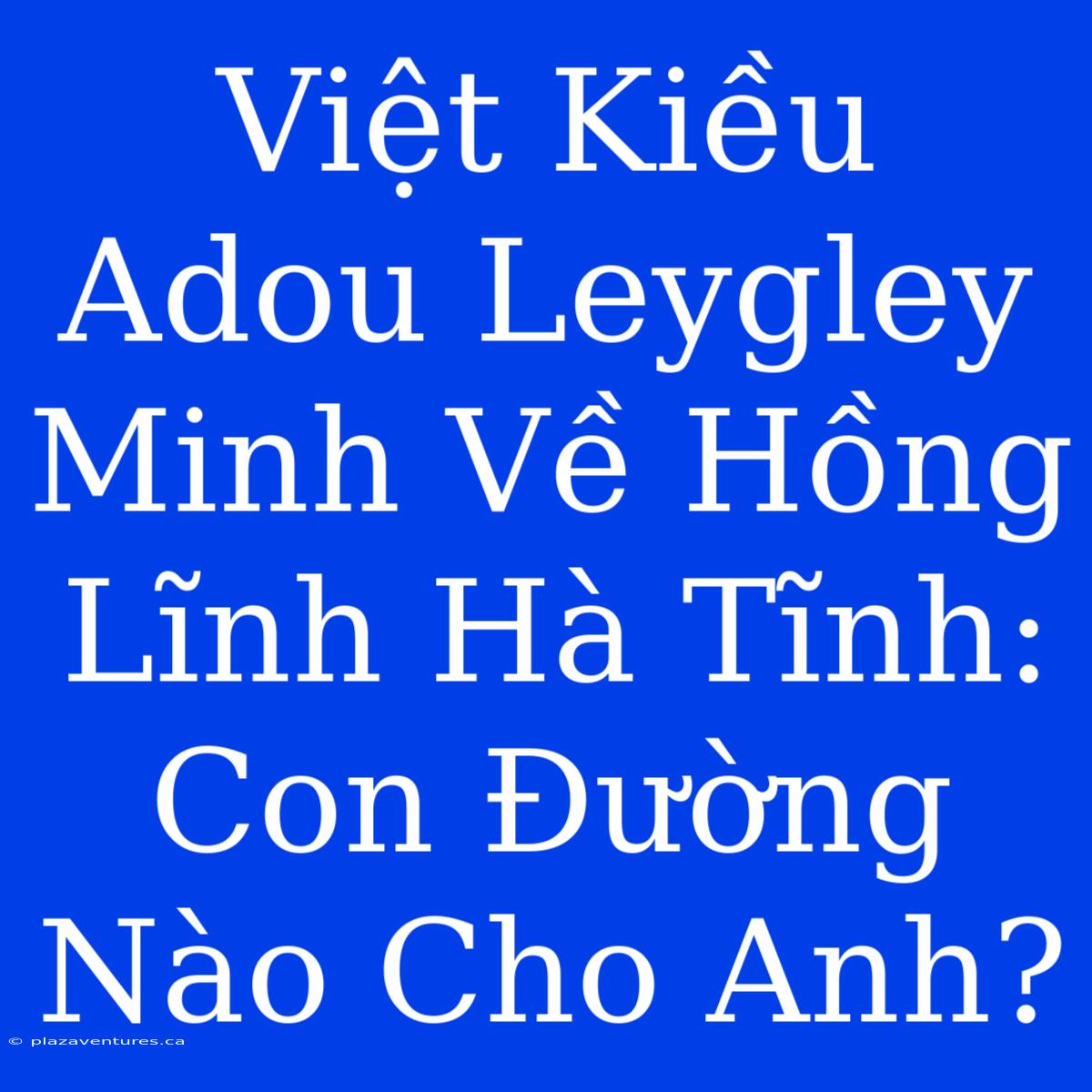 Việt Kiều Adou Leygley Minh Về Hồng Lĩnh Hà Tĩnh: Con Đường Nào Cho Anh?