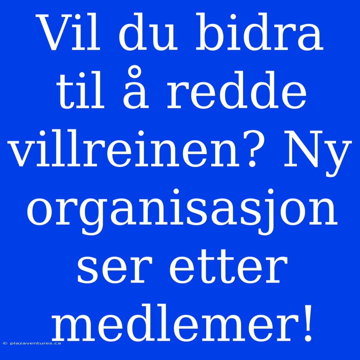 Vil Du Bidra Til Å Redde Villreinen? Ny Organisasjon Ser Etter Medlemer!