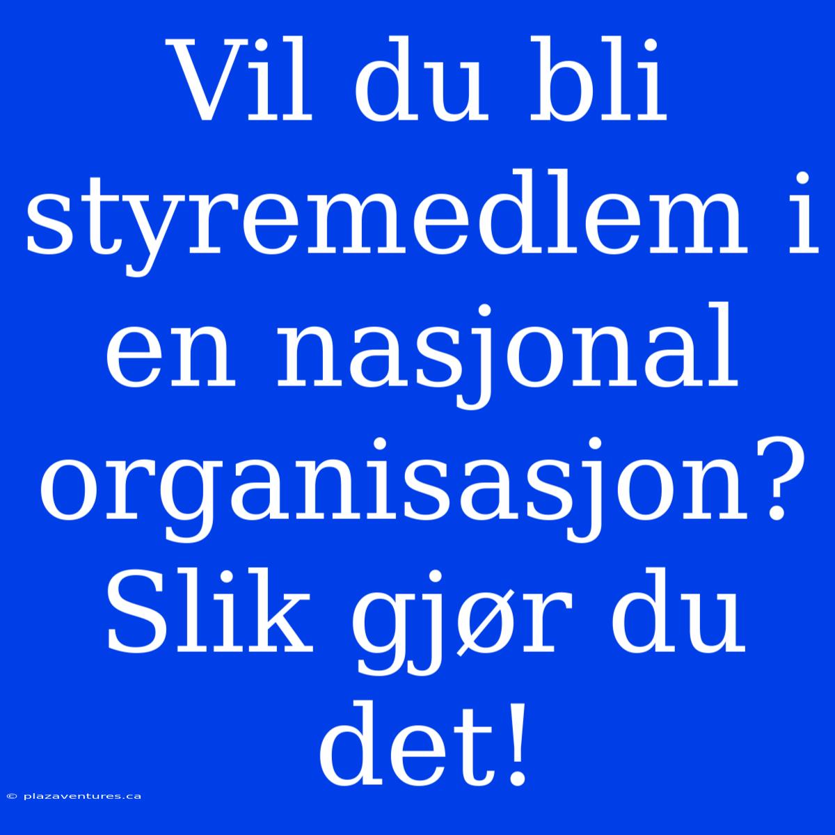 Vil Du Bli Styremedlem I En Nasjonal Organisasjon? Slik Gjør Du Det!