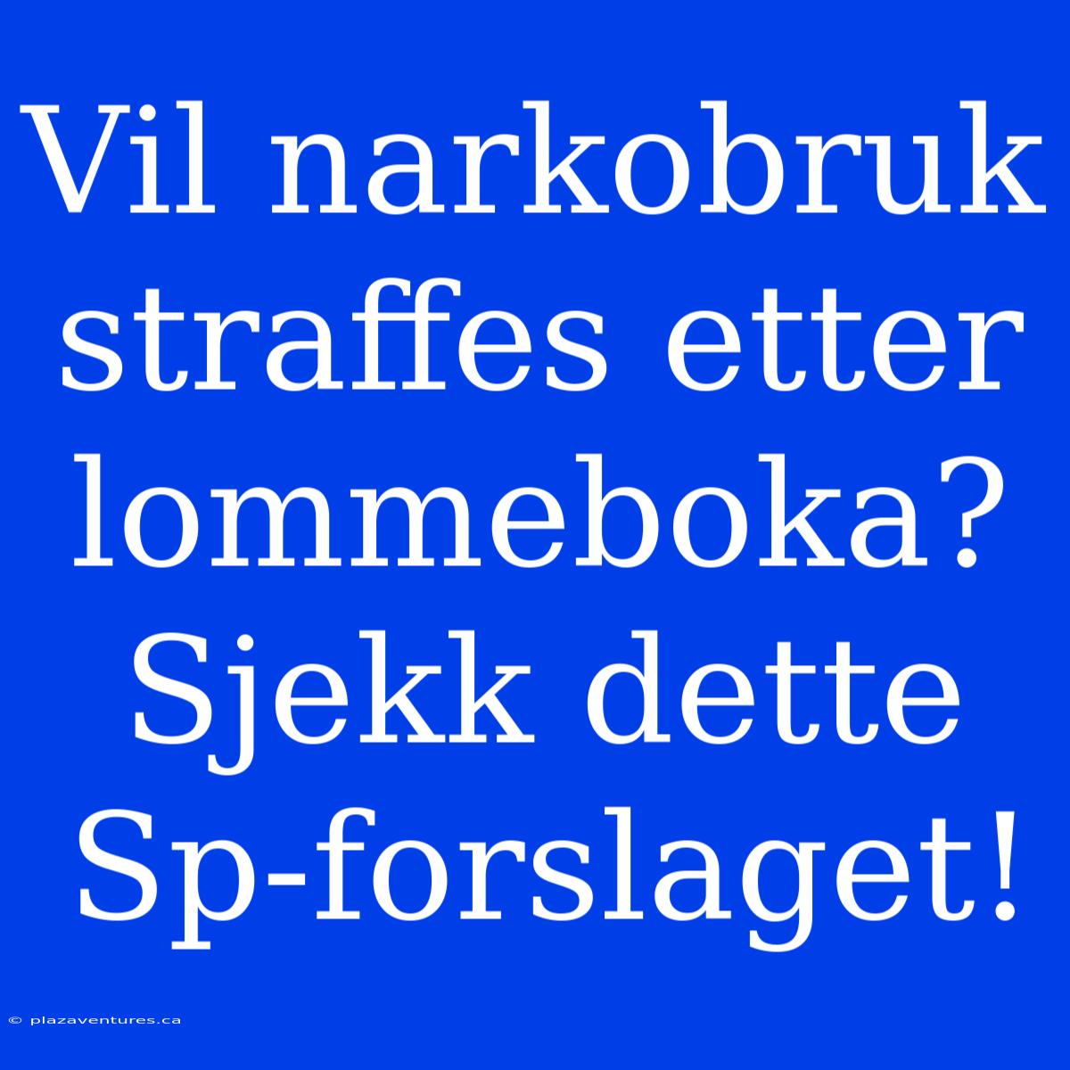 Vil Narkobruk Straffes Etter Lommeboka? Sjekk Dette Sp-forslaget!