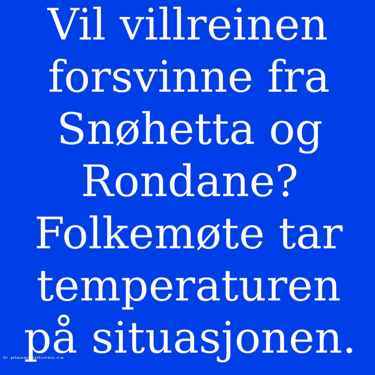 Vil Villreinen Forsvinne Fra Snøhetta Og Rondane? Folkemøte Tar Temperaturen På Situasjonen.