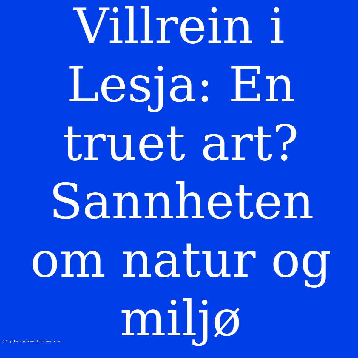 Villrein I Lesja: En Truet Art? Sannheten Om Natur Og Miljø