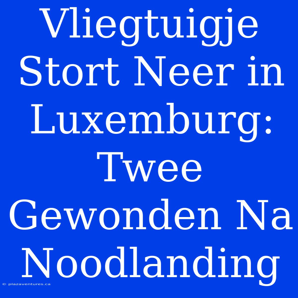 Vliegtuigje Stort Neer In Luxemburg: Twee Gewonden Na Noodlanding