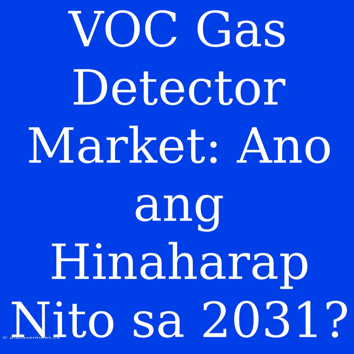 VOC Gas Detector Market: Ano Ang Hinaharap Nito Sa 2031?