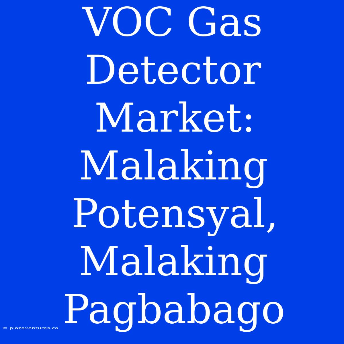 VOC Gas Detector Market: Malaking Potensyal, Malaking Pagbabago