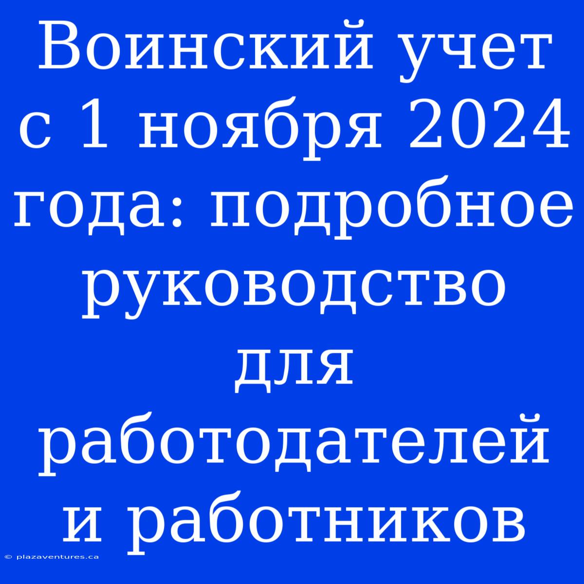 Воинский Учет С 1 Ноября 2024 Года: Подробное Руководство Для Работодателей И Работников