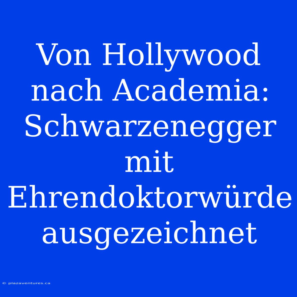 Von Hollywood Nach Academia: Schwarzenegger Mit Ehrendoktorwürde Ausgezeichnet