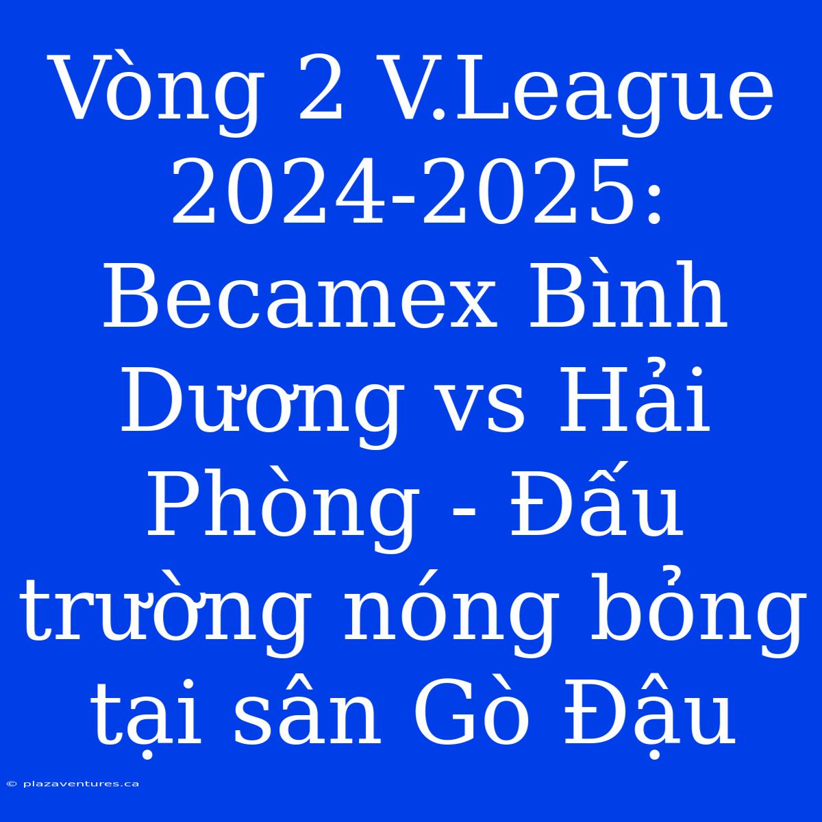 Vòng 2 V.League 2024-2025: Becamex Bình Dương Vs Hải Phòng - Đấu Trường Nóng Bỏng Tại Sân Gò Đậu