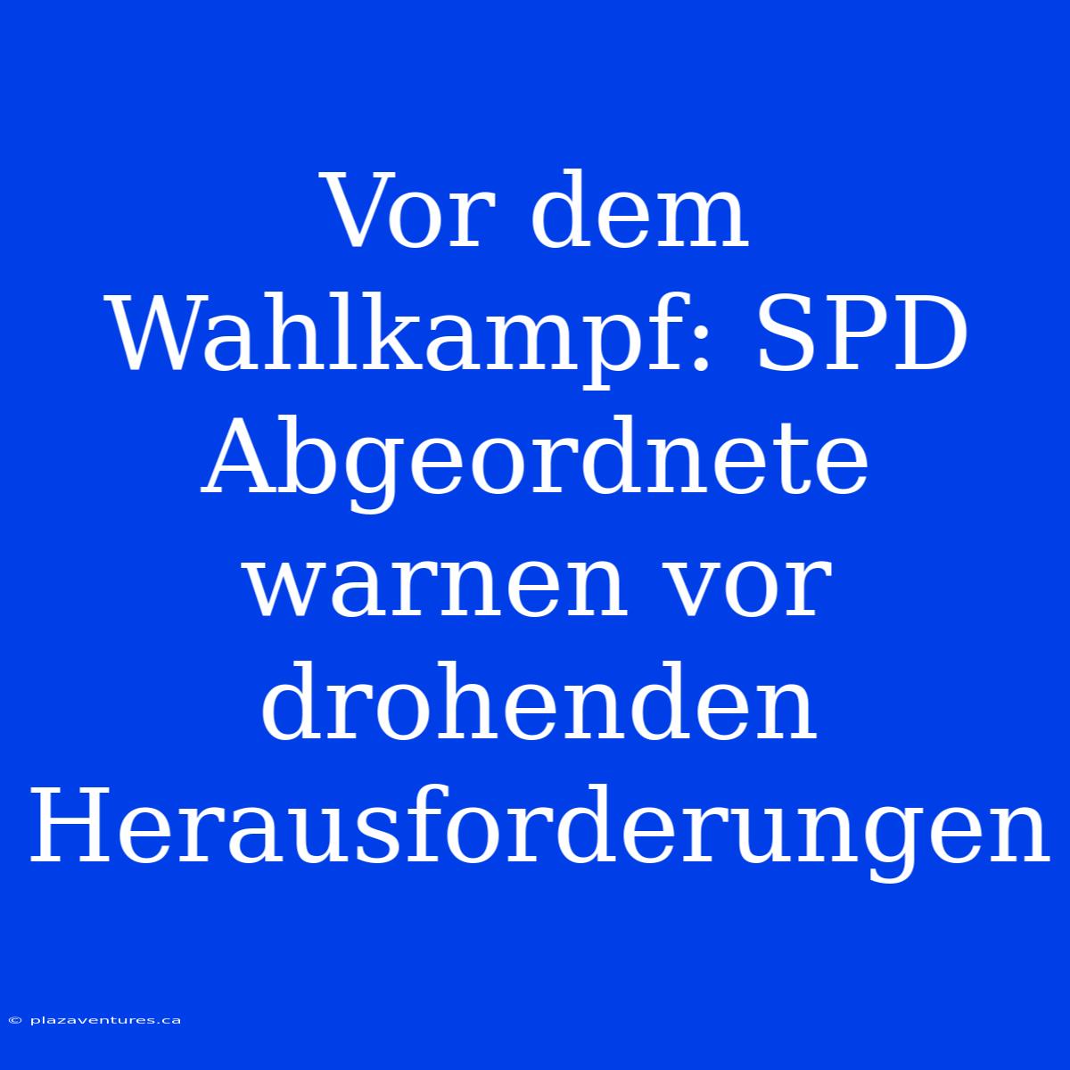 Vor Dem Wahlkampf: SPD Abgeordnete Warnen Vor Drohenden Herausforderungen