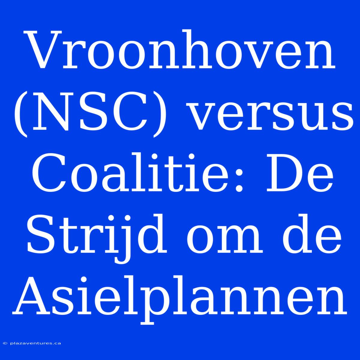 Vroonhoven (NSC) Versus Coalitie: De Strijd Om De Asielplannen