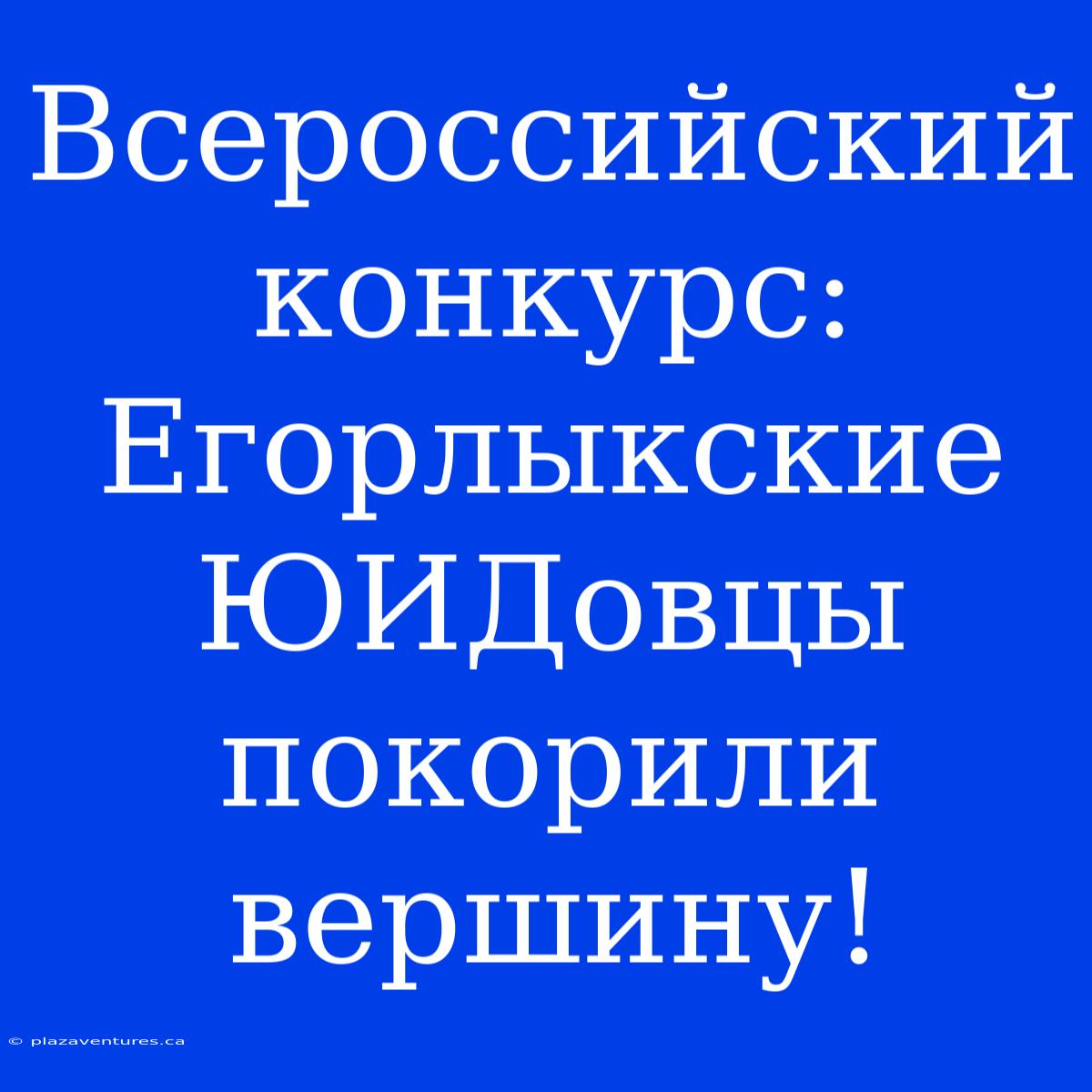 Всероссийский Конкурс: Егорлыкские ЮИДовцы Покорили Вершину!