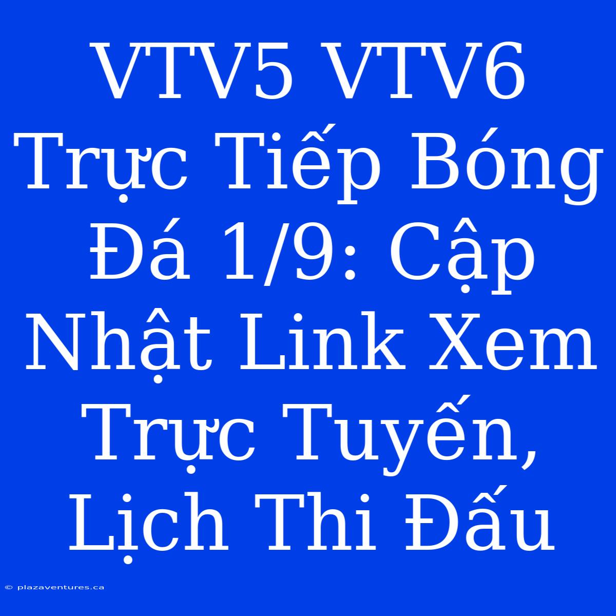 VTV5 VTV6 Trực Tiếp Bóng Đá 1/9: Cập Nhật Link Xem Trực Tuyến, Lịch Thi Đấu