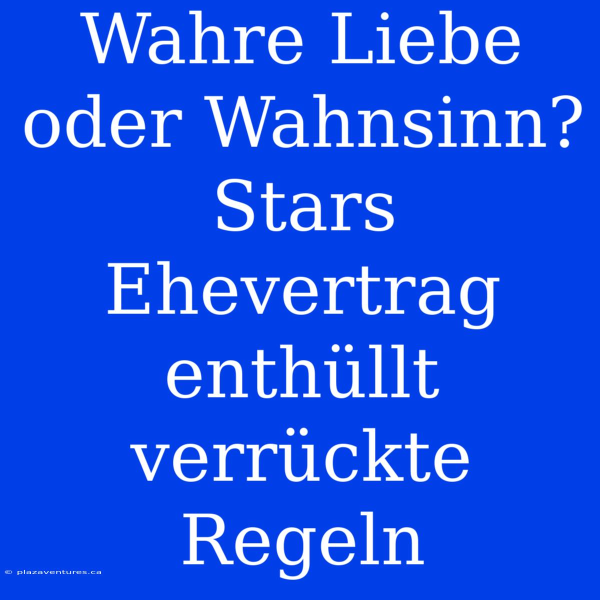 Wahre Liebe Oder Wahnsinn? Stars Ehevertrag Enthüllt Verrückte Regeln