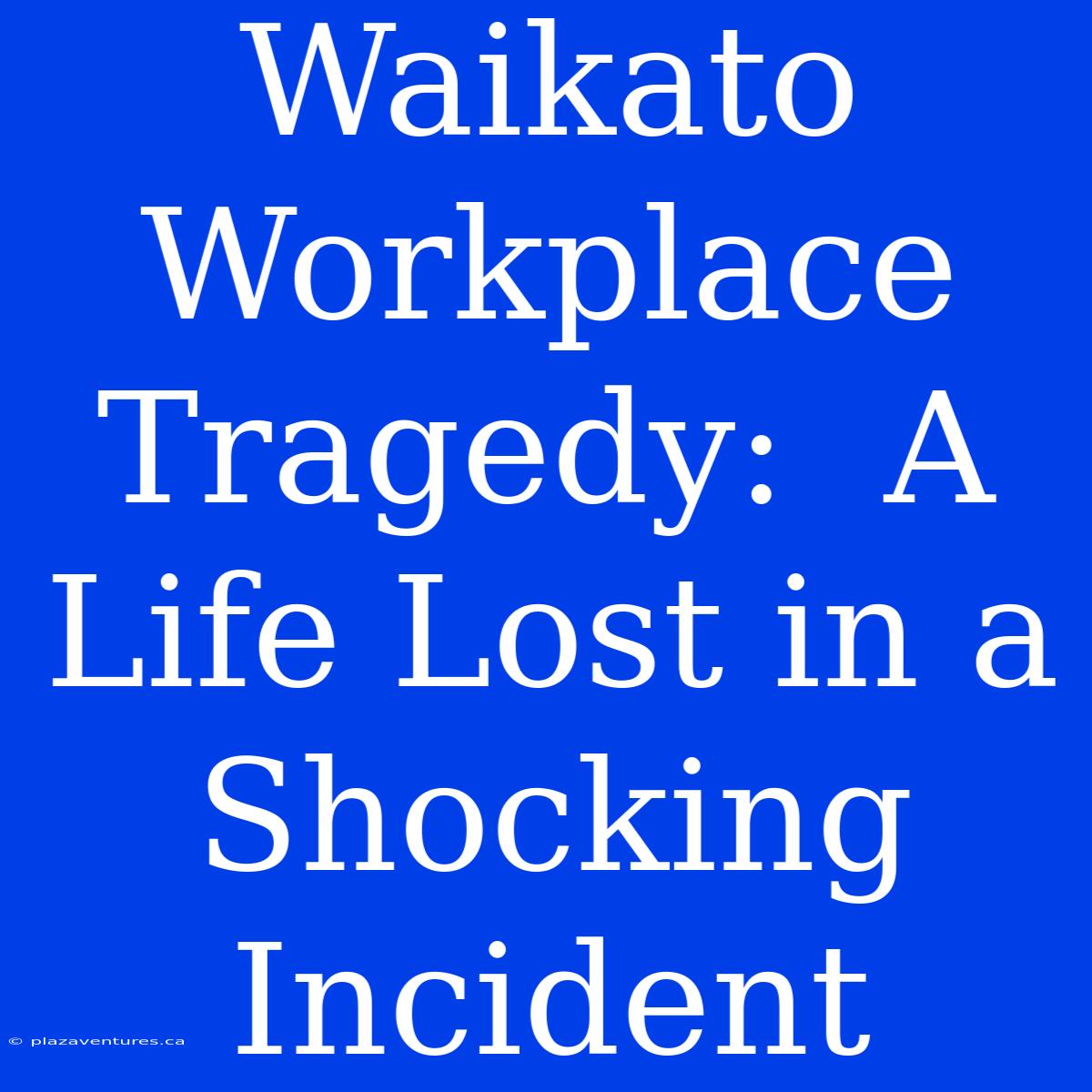 Waikato Workplace Tragedy:  A Life Lost In A Shocking Incident