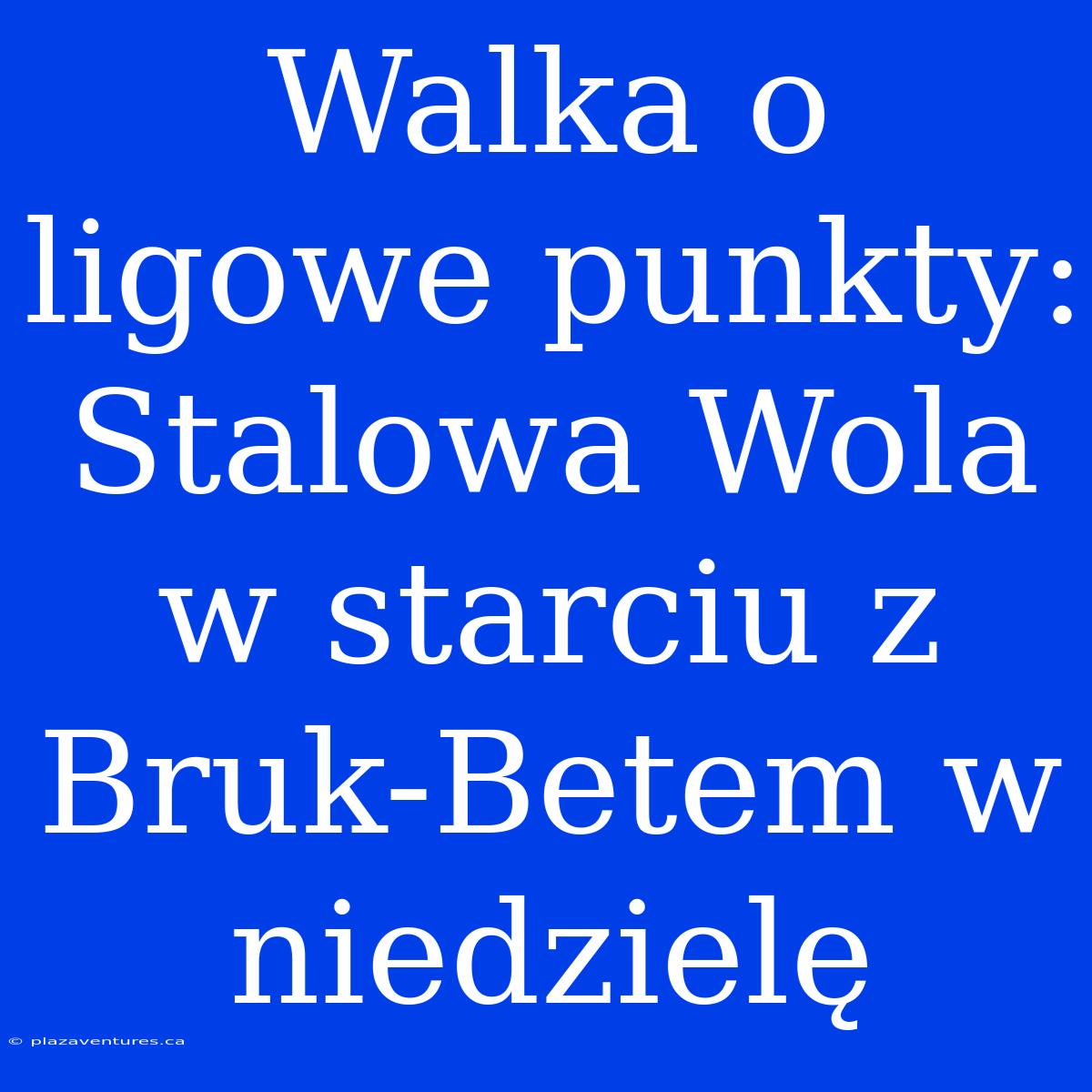 Walka O Ligowe Punkty: Stalowa Wola W Starciu Z Bruk-Betem W Niedzielę