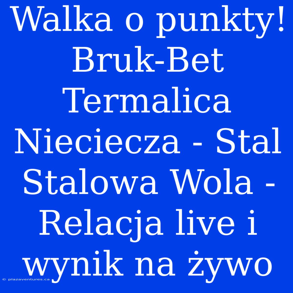 Walka O Punkty! Bruk-Bet Termalica Nieciecza - Stal Stalowa Wola - Relacja Live I Wynik Na Żywo