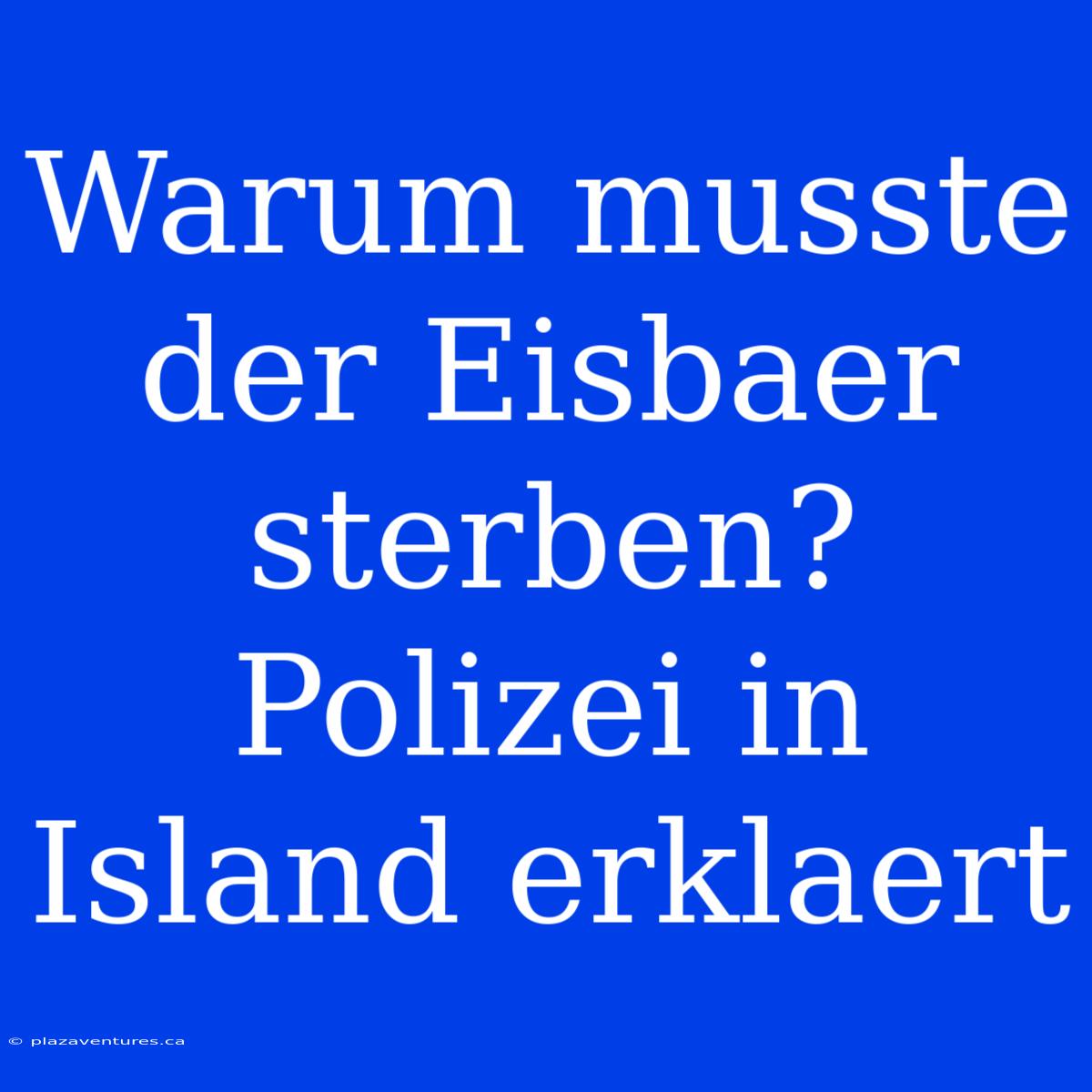 Warum Musste Der Eisbaer Sterben? Polizei In Island Erklaert