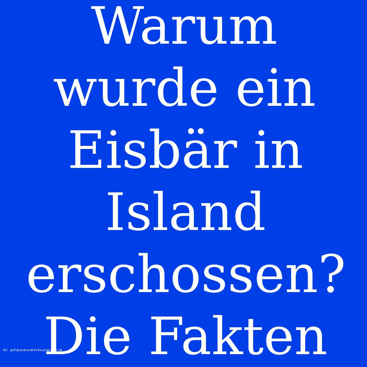 Warum Wurde Ein Eisbär In Island Erschossen? Die Fakten