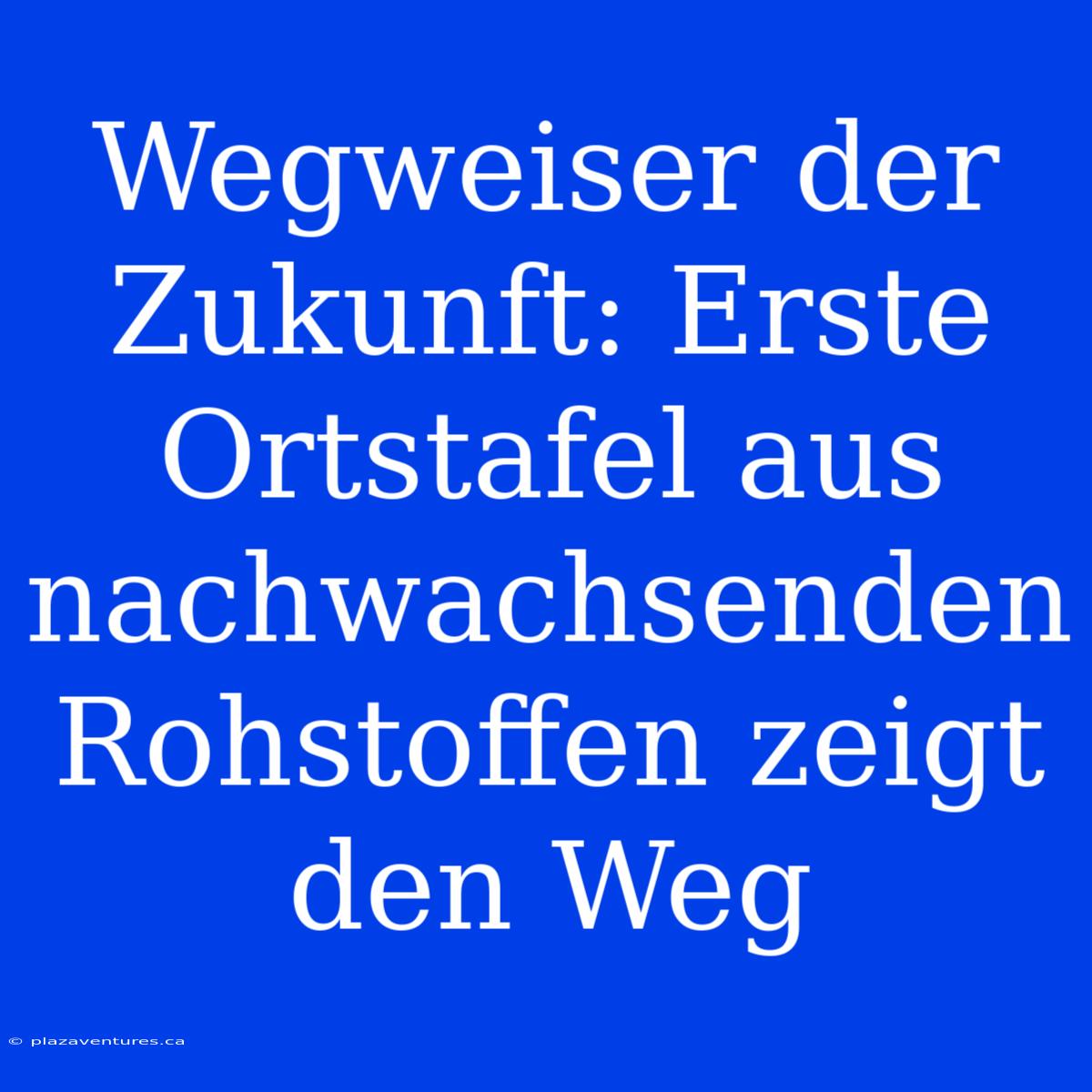 Wegweiser Der Zukunft: Erste Ortstafel Aus Nachwachsenden Rohstoffen Zeigt Den Weg